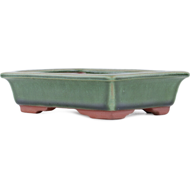 Pot à bonsaï vert rectangulaire par Eime Yozan - 142 x 109 x 35 mm