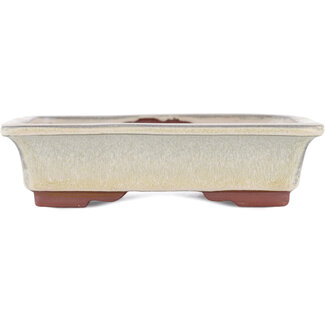  Eimei ( Yozan kiln) Pot à bonsaï beige 142 mm par Eime Yozan, Tokoname, Japon