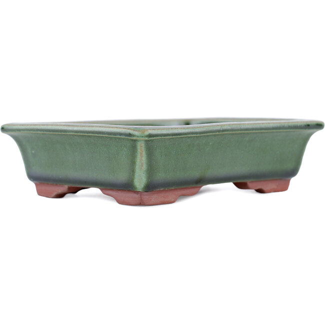 Vaso bonsai rettangolare verde di Eime Yozan - 142 x 109 x 35 mm