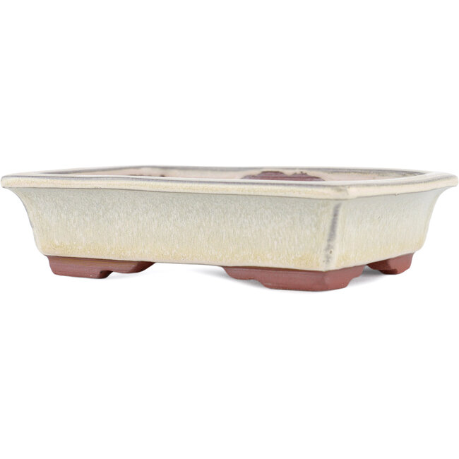 Pot à bonsaï rectangulaire beige par Eime Yozan - 142 x 109 x 35 mm