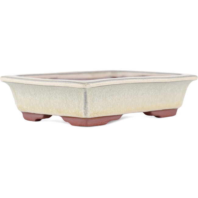 Vaso bonsai rettangolare beige di Eime Yozan - 142 x 109 x 35 mm