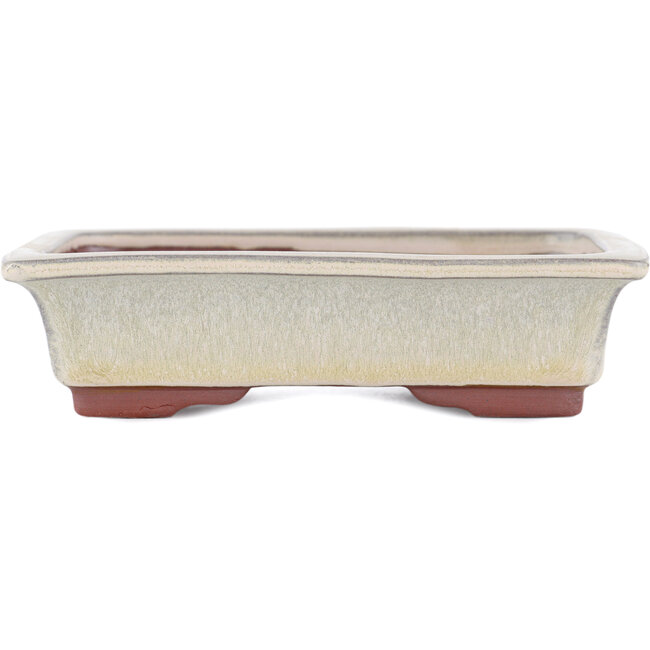 Rechteckiger beiger Bonsaitopf von Eime Yozan – 142 x 109 x 35 mm