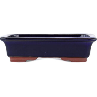  Eimei ( Yozan kiln) Pot à bonsaï bleu 142 mm par Eime Yozan, Tokoname, Japon