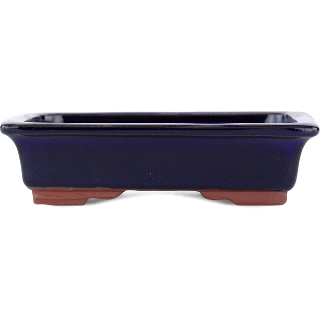 Rectangular blue bonsai pot by Eime Yozan - 142 x 109 x 35 mm