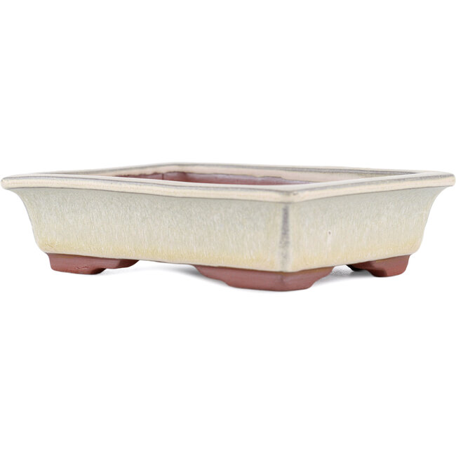 Rectangular beige bonsai pot by Eime Yozan - 142 x 109 x 35 mm