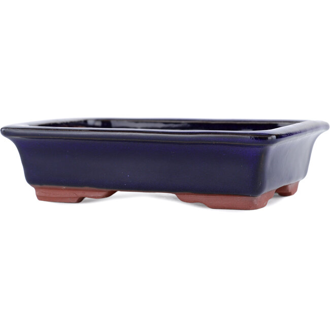 Maceta rectangular para bonsái azul de Eime Yozan - 142 x 109 x 35 mm
