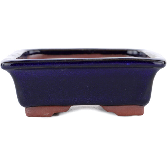 Maceta rectangular para bonsái azul de Eime Yozan - 142 x 109 x 35 mm