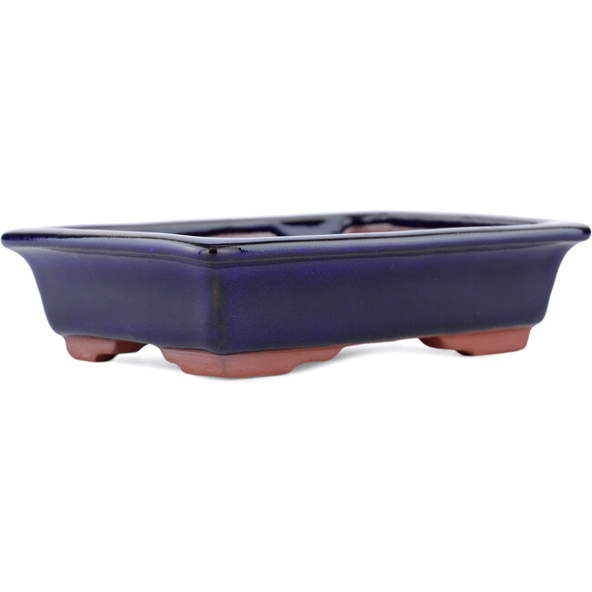 Pot à bonsaï rectangulaire bleu par Eime Yozan - 142 x 109 x 35 mm