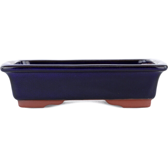 Maceta rectangular para bonsái azul de Eime Yozan - 142 x 109 x 35 mm