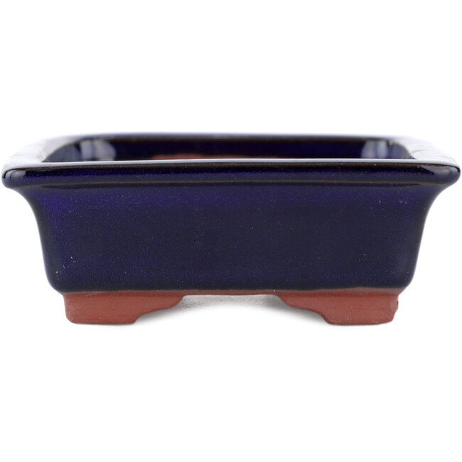 Rectangular blue bonsai pot by Eime Yozan - 142 x 109 x 35 mm