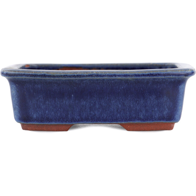 Maceta rectangular para bonsái azul de Eime Yozan - 125 x 95 x 37 mm