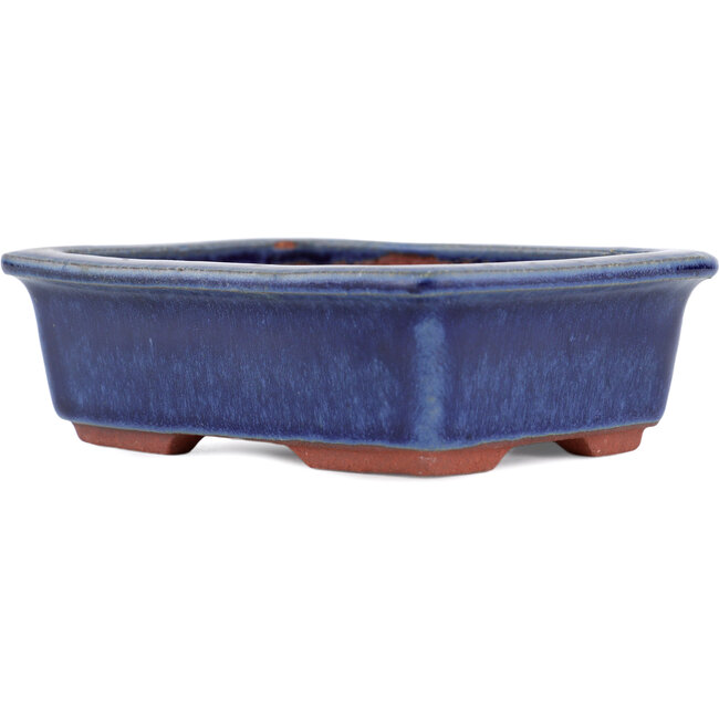 Pot à bonsaï rectangulaire bleu par Eime Yozan - 125 x 95 x 37 mm