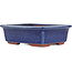 Maceta rectangular para bonsái azul de Eime Yozan - 125 x 95 x 37 mm