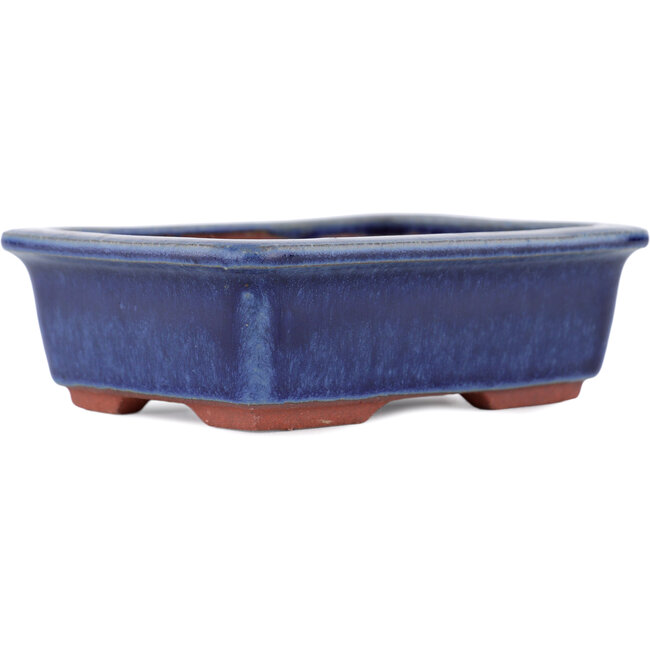 Maceta rectangular para bonsái azul de Eime Yozan - 125 x 95 x 37 mm