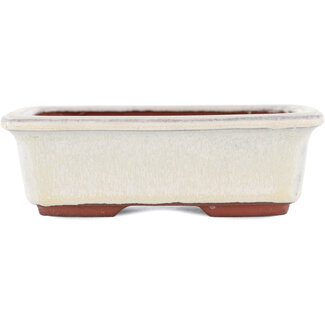  Eimei ( Yozan kiln) Pot à bonsaï blanc cassé 125 mm par Eime Yozan, Tokoname, Japon