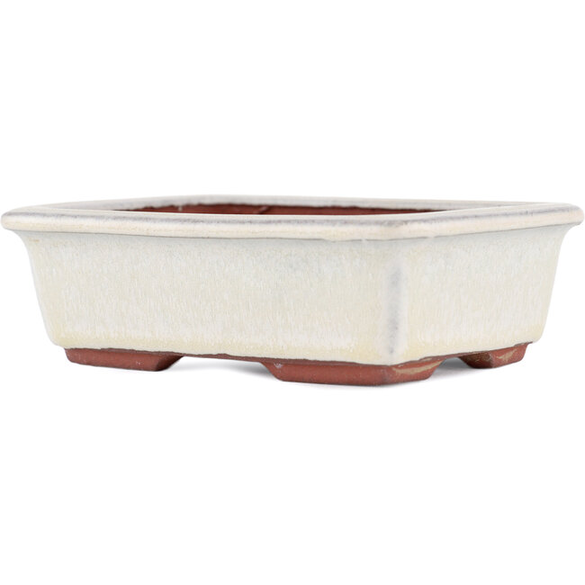 Rectangular off-white bonsai pot by Eime Yozan - 125 x 95 x 37 mm