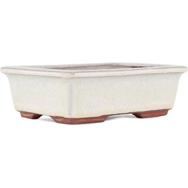 Pot à bonsaï rectangulaire blanc cassé par Eime Yozan - 125 x 95 x 37 mm