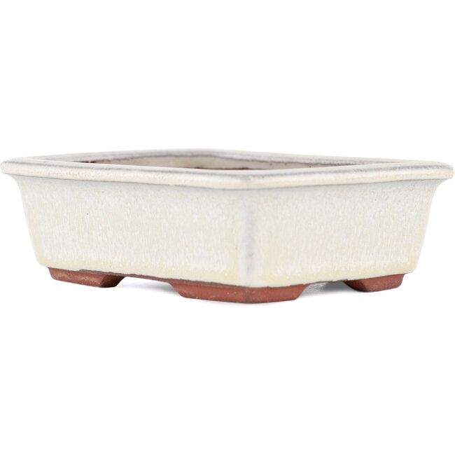 Vaso bonsai rettangolare bianco sporco di Eime Yozan - 125 x 95 x 37 mm