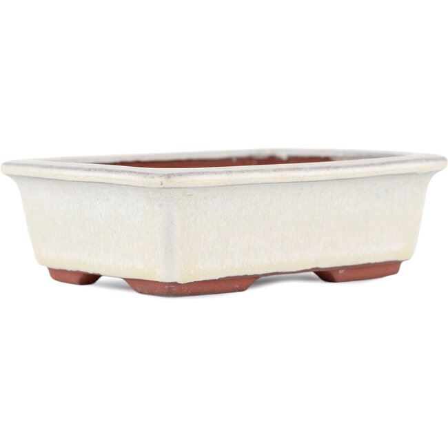 Rechteckiger cremefarbener Bonsaitopf von Eime Yozan – 125 x 95 x 37 mm