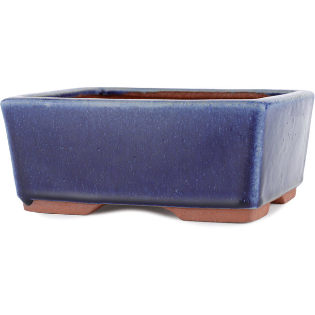 Maceta rectangular para bonsái azul de Eime Yozan - 177 x 152 x 74 mm