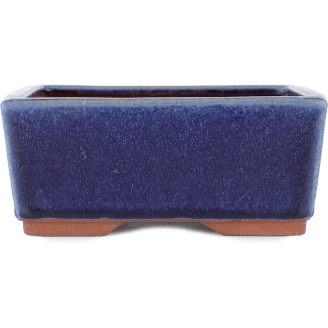 Rechthoekige blauwe bonsaipot van Eime Yozan - 177 x 152 x 74 mm