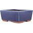 Rectangular blue bonsai pot by Eime Yozan - 177 x 152 x 74 mm