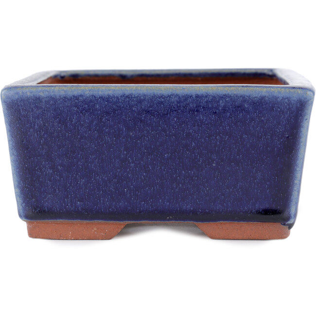 Maceta rectangular para bonsái azul de Eime Yozan - 177 x 152 x 74 mm