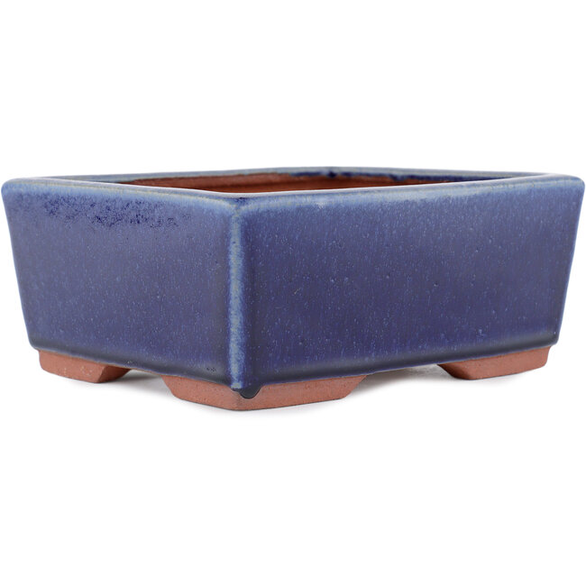 Rectangular blue bonsai pot by Eime Yozan - 177 x 152 x 74 mm