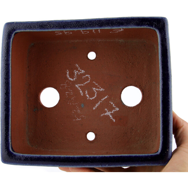 Maceta rectangular para bonsái azul de Eime Yozan - 177 x 152 x 74 mm