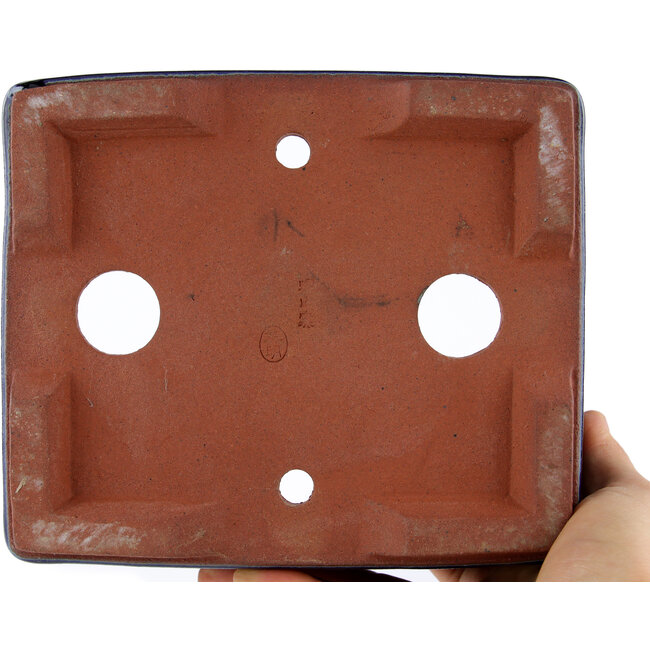 Vaso bonsai rettangolare blu di Eime Yozan - 177 x 152 x 74 mm