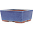 Maceta rectangular para bonsái azul de Eime Yozan - 177 x 152 x 74 mm