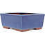 Maceta rectangular para bonsái azul de Eime Yozan - 177 x 152 x 74 mm