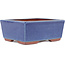 Maceta rectangular para bonsái azul de Eime Yozan - 177 x 152 x 74 mm