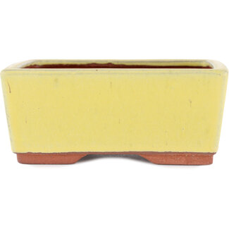  Eimei ( Yozan kiln) Pot à bonsaï jaune 177 mm par Eime Yozan, Tokoname, Japon
