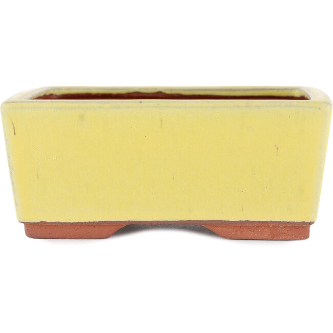 Pot à bonsaï rectangulaire jaune par Eime Yozan - 177 x 152 x 74 mm