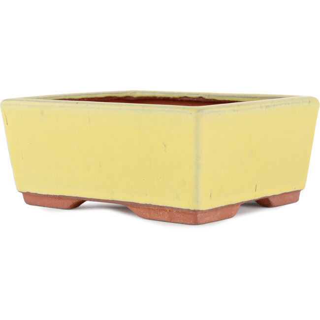 Maceta rectangular para bonsái amarilla de Eime Yozan - 177 x 152 x 74 mm
