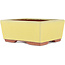 Rectangular yellow bonsai pot by Eime Yozan - 177 x 152 x 74 mm