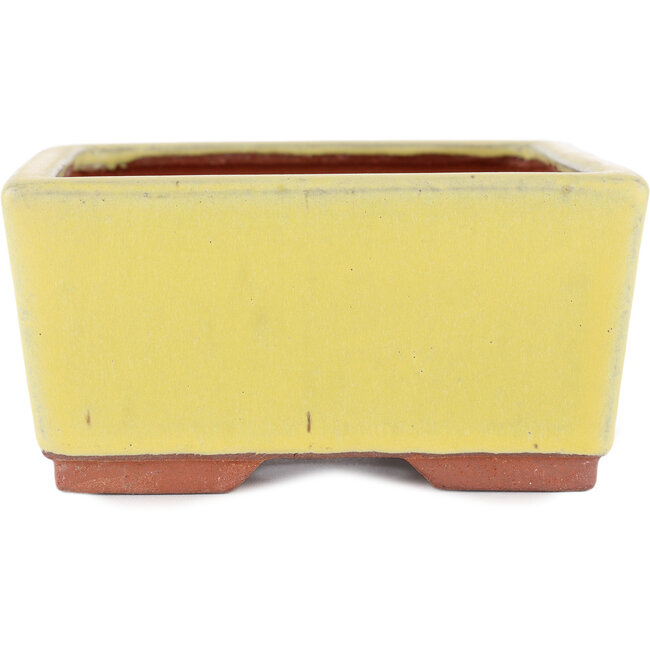 Pot à bonsaï rectangulaire jaune par Eime Yozan - 177 x 152 x 74 mm