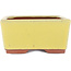 Rectangular yellow bonsai pot by Eime Yozan - 177 x 152 x 74 mm