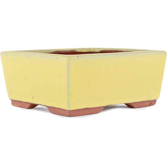 Pot à bonsaï rectangulaire jaune par Eime Yozan - 177 x 152 x 74 mm
