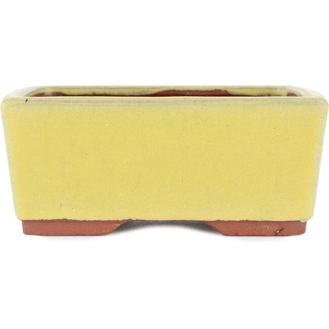 Rechthoekige gele bonsaipot van Eime Yozan - 177 x 152 x 74 mm