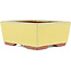 Pot à bonsaï rectangulaire jaune par Eime Yozan - 177 x 152 x 74 mm