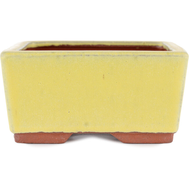 Vaso bonsai rettangolare giallo di Eime Yozan - 177 x 152 x 74 mm