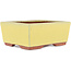 Rectangular yellow bonsai pot by Eime Yozan - 177 x 152 x 74 mm