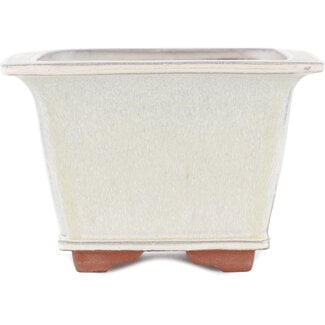 Pots: Japanese bonsai pot Morrisan oval in white glazed stoneware  38,5x29,5x5 cm - B00-16b