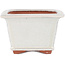 Square off-white bonsai pot by Eime Yozan - 125 x 125 x 85 mm