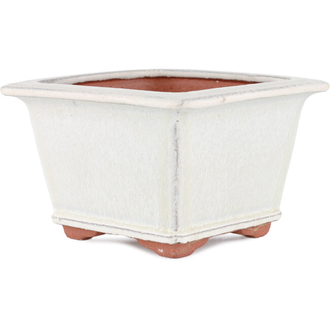 Vaso bonsai quadrato bianco sporco di Eime Yozan - 125 x 125 x 85 mm