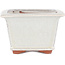 Maceta para bonsai cuadrada color hueso de Eime Yozan - 125 x 125 x 85 mm