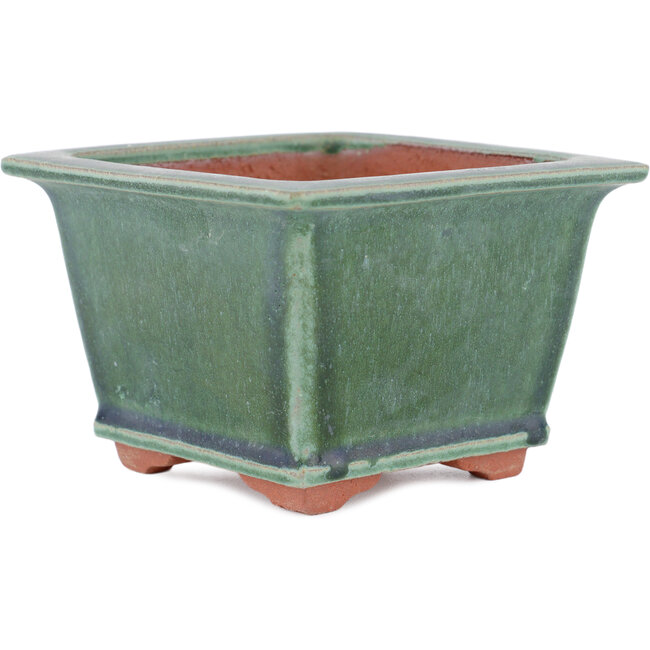 Maceta cuadrada para bonsái verde de Eime Yozan - 125 x 125 x 85 mm