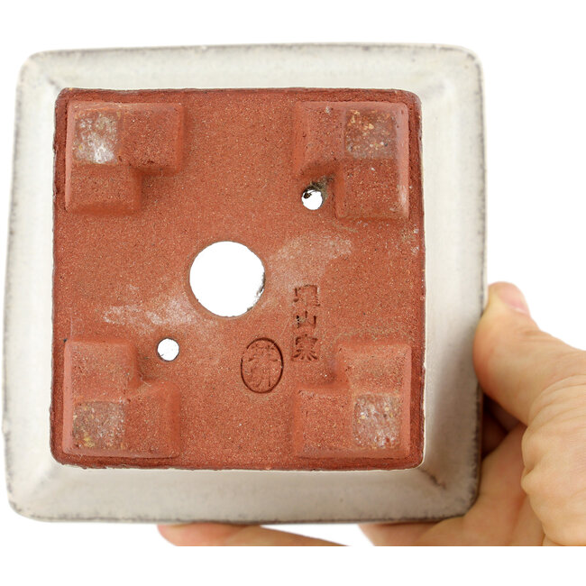 Square off-white bonsai pot by Eime Yozan - 105 x 105 x 70 mm